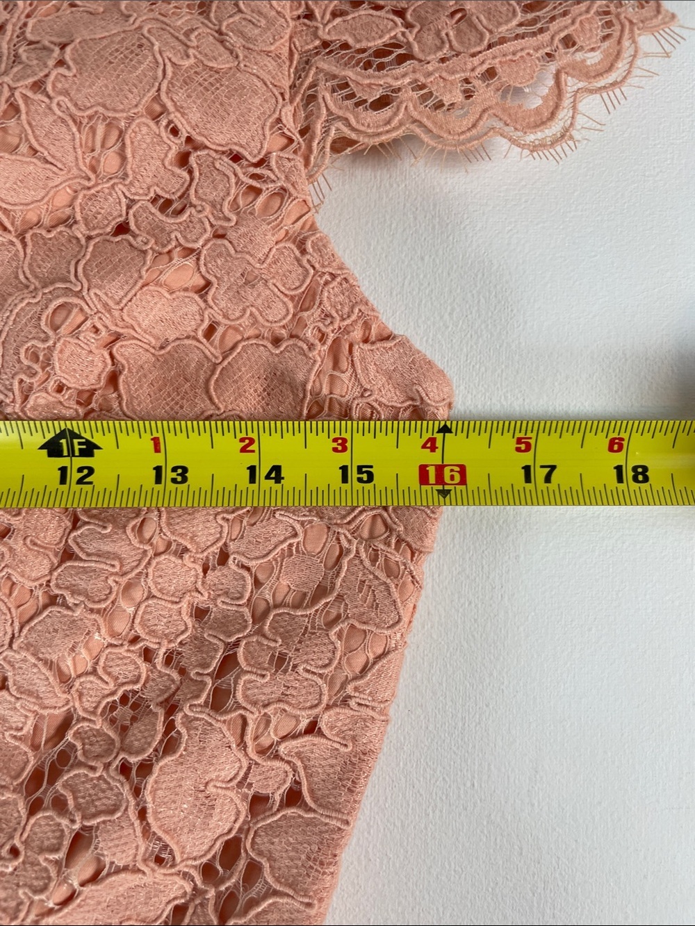ERIN by Erin Fetherston Lace Alice Dress - Size 4 - Picture 9 of 12